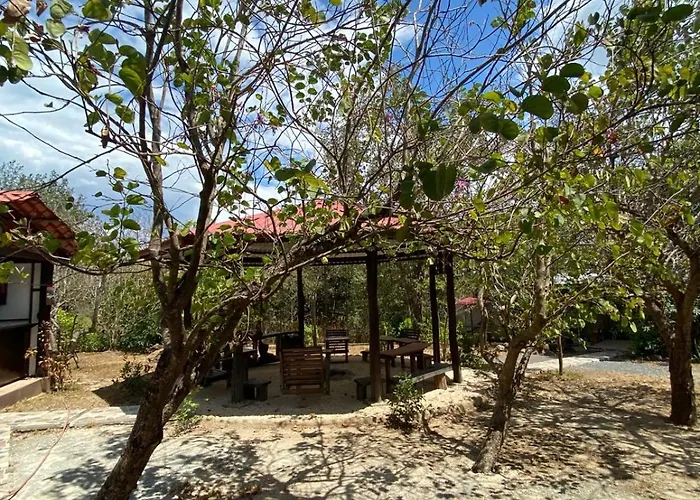 Tiquisia *